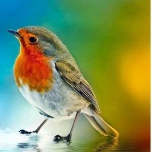 Meet your Posher, More